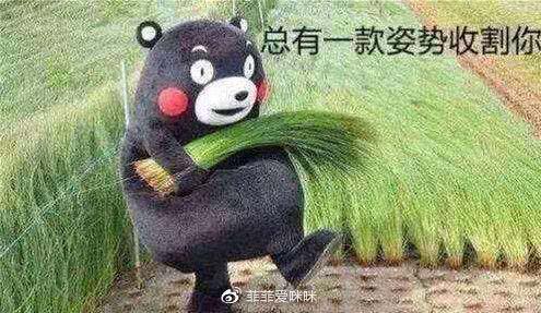 王凯猎狐剧照，王凯神演技成就爆款经侦剧猎狐