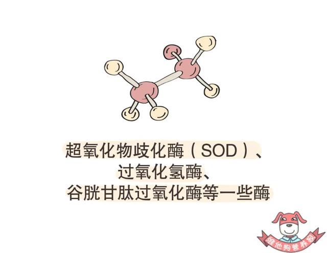 自由基抗氧化剂有什么，盘点若美欣等三大含富勒烯护肤品