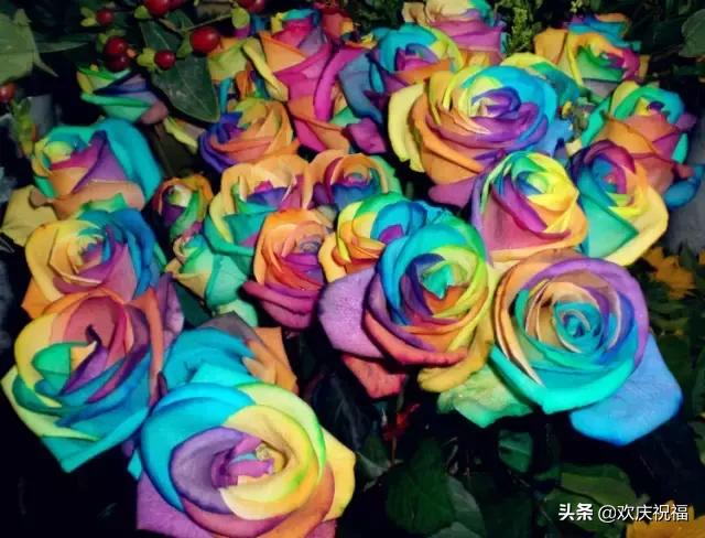 情人节送男友什么今天5.20，520玫瑰送给群里所有的朋友~祝天下有情人情人节快