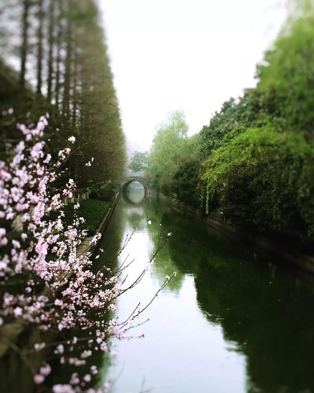 三月最值得去的旅游地方，9大绝美春色旅行地