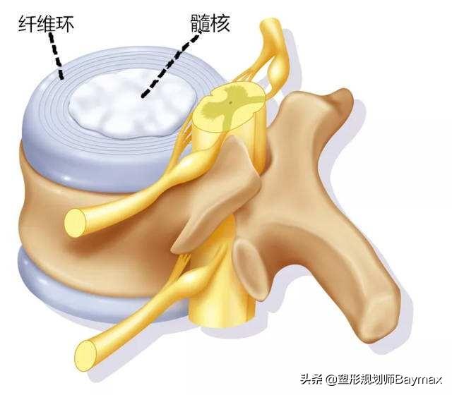 怎么锻炼转腰，左右转腰是很好的放松和热身动作