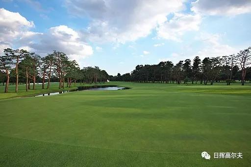 高尔夫球怎么打，怎样打高尔夫球入门（站都不对那球肯定打不好）