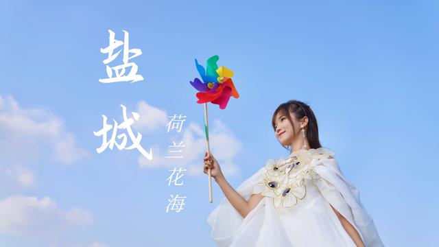 盐城荷兰花海旅游攻略，江苏大丰自驾游—梅花湾、荷兰花海、施耐庵公园