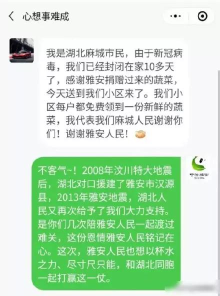 儿菜的食用方法，儿菜怎么吃这8种四川人冬季最爱的蔬菜