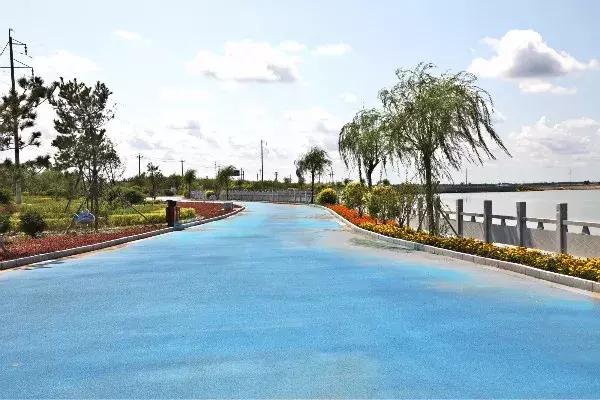 如意湖湿地公园游玩攻略，左中休闲好去处