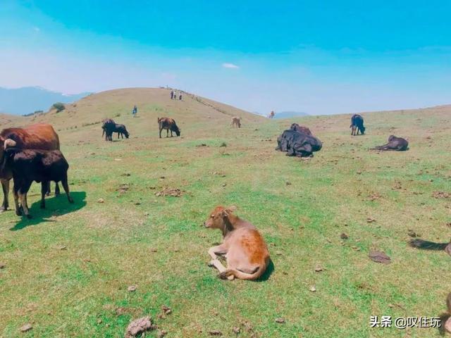 郴州网红景点排名，郴州网红打卡景点沙滩