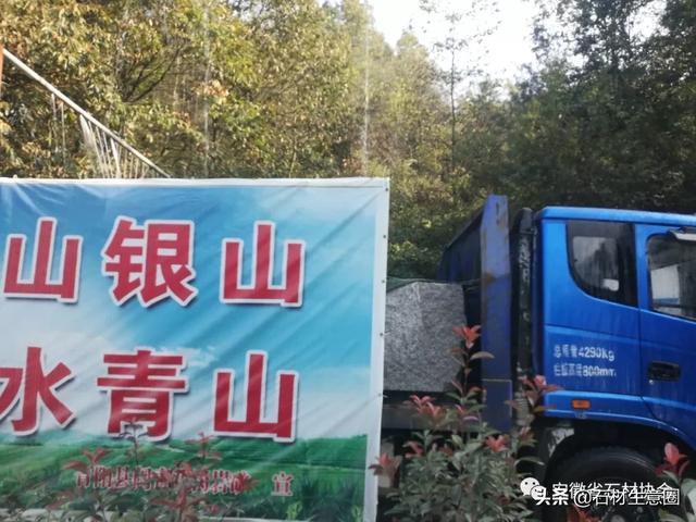 粉青是哪里的玉，碧玉新贵“粉青”是靠什么力压群芳