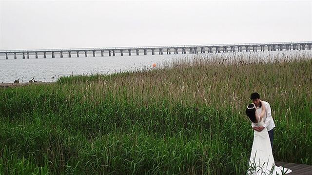 金山免费沙滩地点，周末清凉一“夏”奉贤碧海金沙和金山城市沙滩游玩攻略来啦