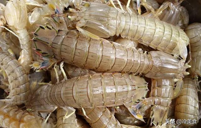 皮皮虾水煮还是清蒸，皮皮虾清蒸好还是水煮好吃（皮皮虾加水煮是错的）