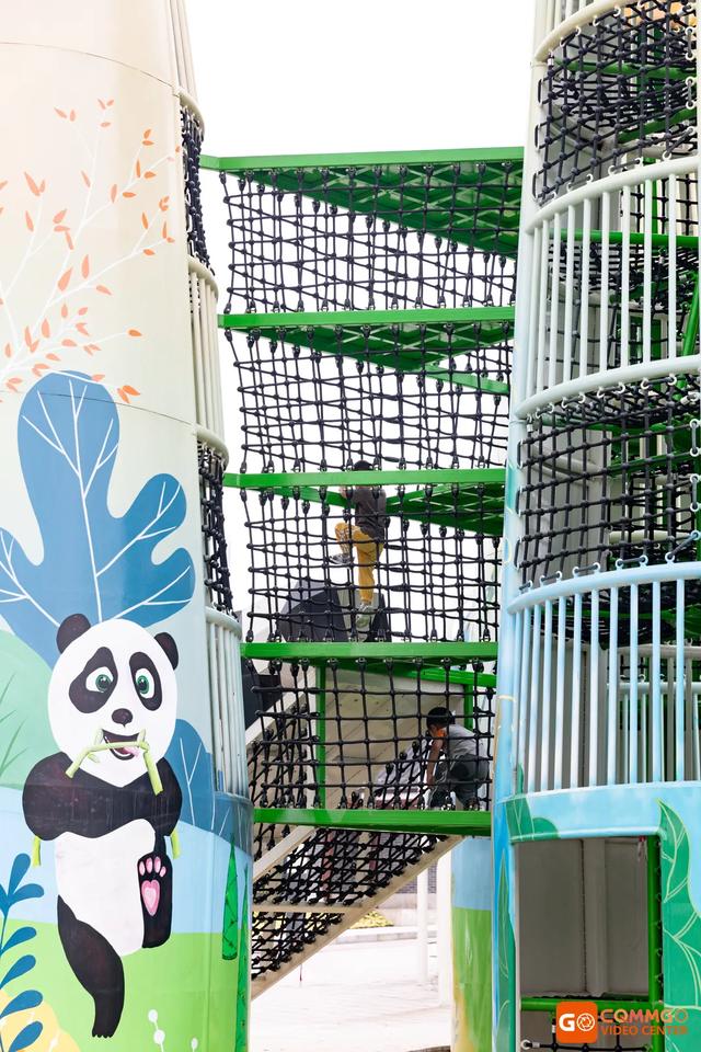 重庆熊猫最多的公园，你知道重庆动物园有多少只熊猫