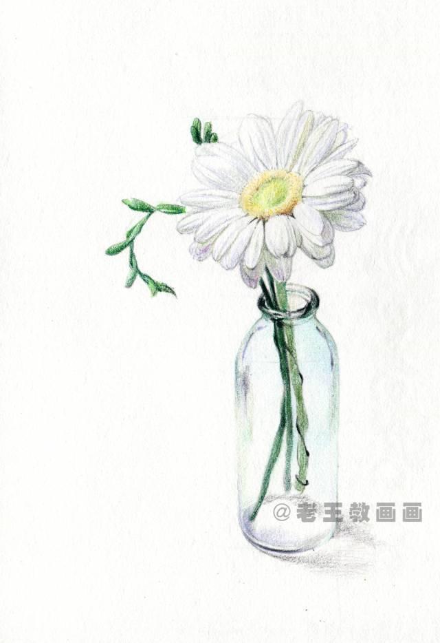 菊花又简单又好看怎么画，菊花画法及步骤