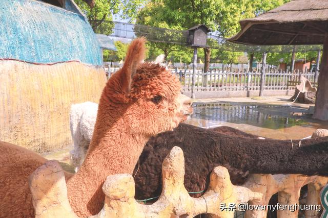 安吉旅游必去的景点，安吉旅游攻略必去景点推荐