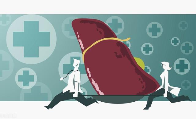 脂肪肝肥胖者(脂肪肝肥胖者减肥能吃人参健脾丸吗)