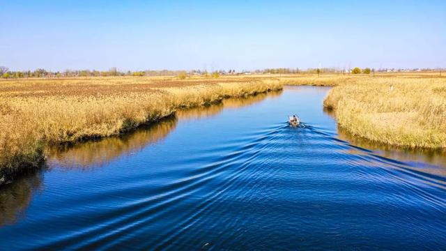 白洋淀冬天的生活，只有60来岁的人才会做……