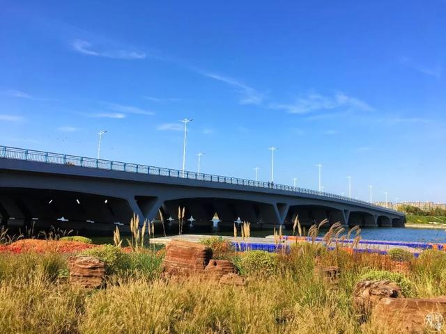 郑州周边免费景点，郑州最近免费旅游景点大全（不出郑州的8个赏花遛娃地）