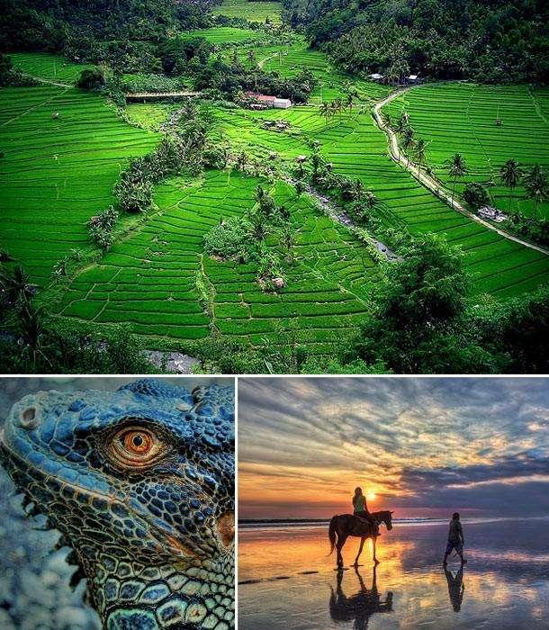 适合蜜月的旅游胜地，全球评选最适合蜜月旅行的