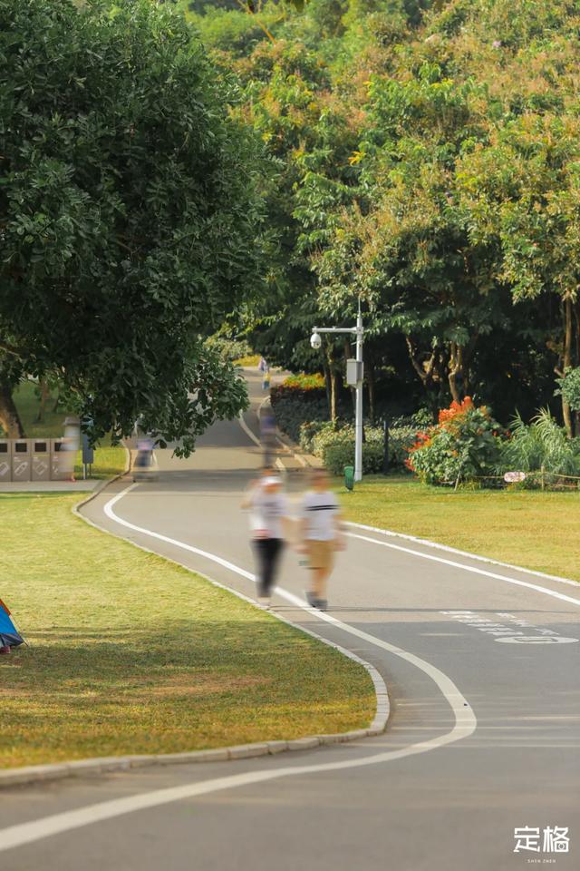 莲花山公园 网红打卡地，莲花山公园又红了