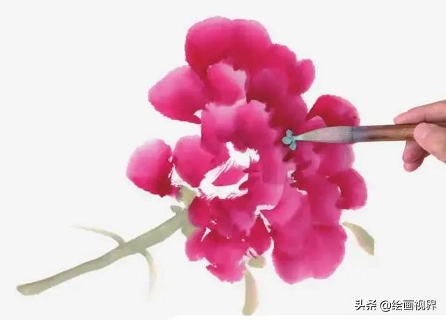 牡丹画法的12种步骤，钛白、藤黄、朱磦、颜料准备好