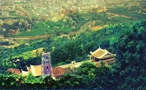 莆田系是个什么梗，“莆田系”风云四十年大起底