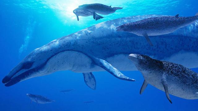 世界十种海洋霸主，细数那些在远古海洋中称霸一时的海洋霸主