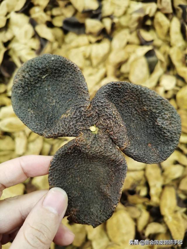 十年陈皮是怎么做的，曝光百年陈皮制作