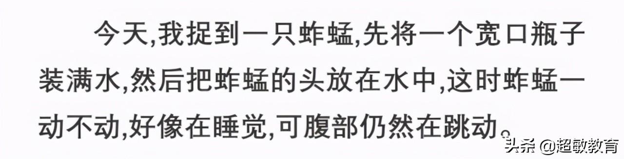 小学作文写作辅导，小学作文写作方法与技巧辅导（超详细的小学作文辅导作文教案——基础篇）