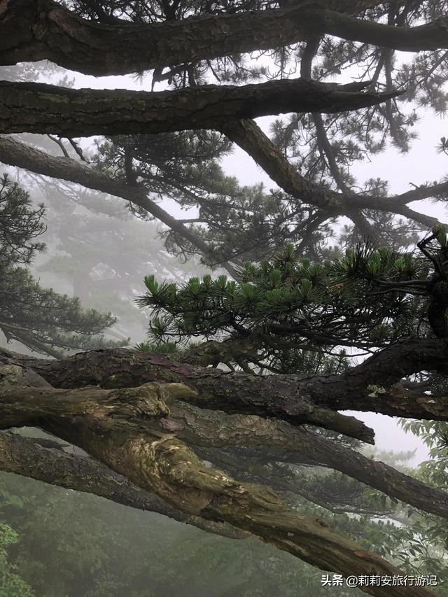 徒步南迦巴瓦峰最佳观景台，雾中徒步薄刀峰