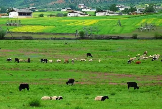 雨崩徒步攻略，探寻如梦如幻诗意般的世外桃源