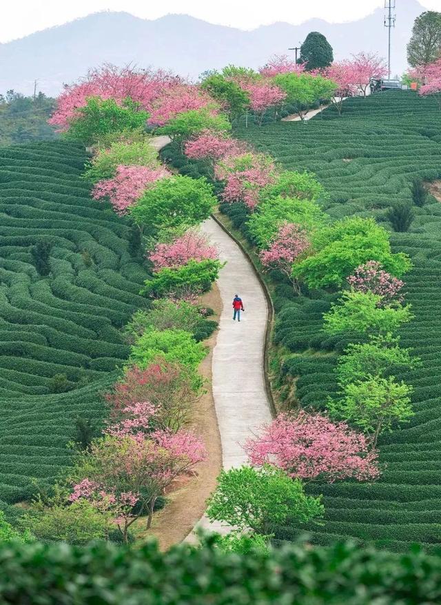 适合12月份去的旅行地，2月绝美旅行地推荐