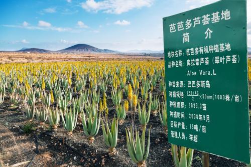 芭芭多芦荟加盟电话，芭芭多芦荟美容全国连锁专卖店（芭芭多芦荟美容连锁门店全国超3000家）