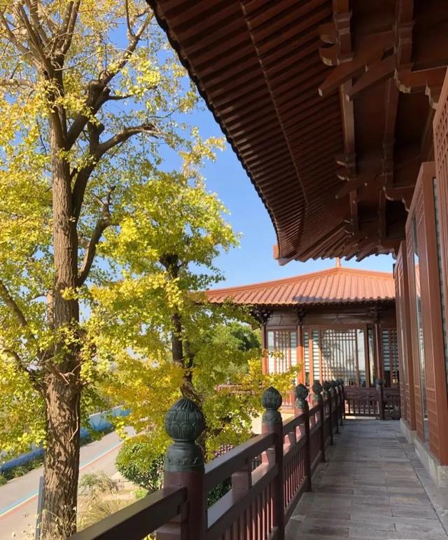 松江一日游免费景点方塔园，在松江你只知道方塔