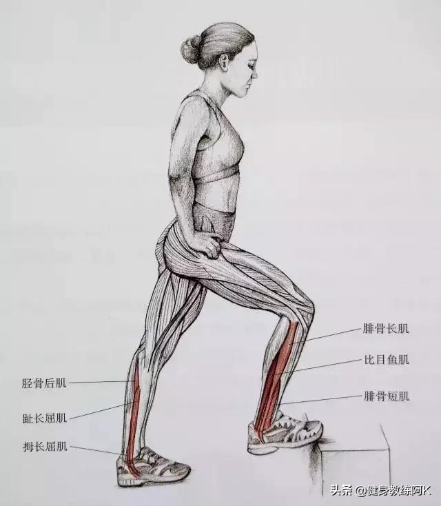 防止小腿变肌肉腿的拉伸动作，跑后7大拉伸动作