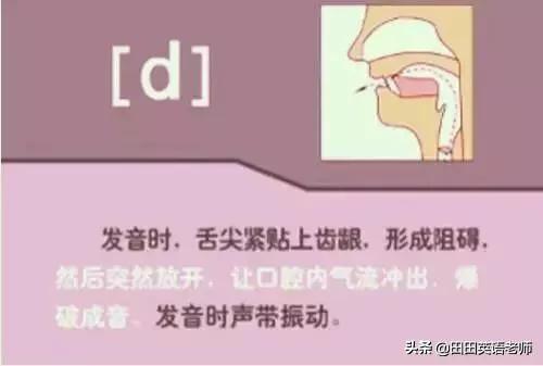 英语音标怎么学，初学英语者必看如何学习国际音标（资深老教师说：音标就该这样学）