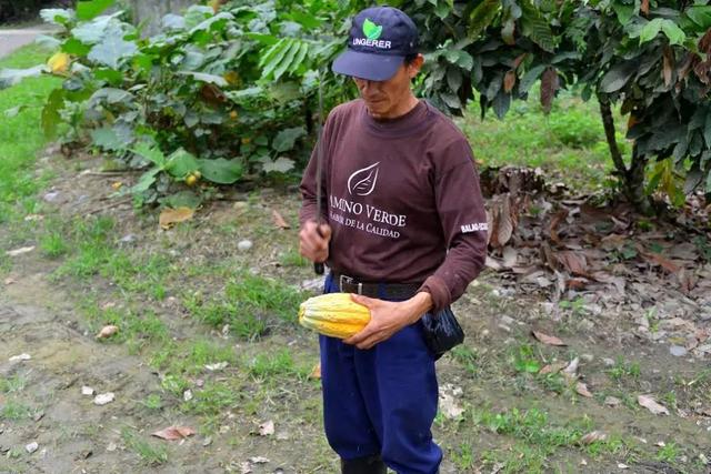 超级好喝的热巧克力，今天喝什么？热可可