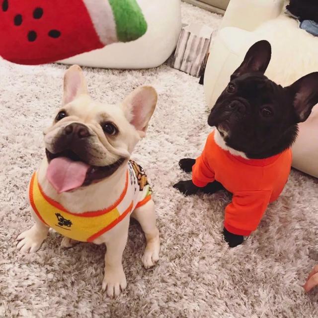 微信封面背景图，好看的背景图送给你（好看的微信背景封面图）