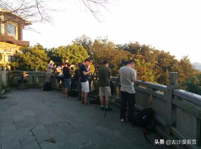 深圳梧桐小镇露营，可以带她在深圳这样玩