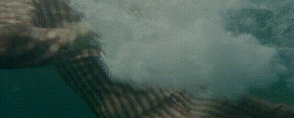 肖申克的救赎原型，现实版肖申克的救赎（肖申克的救赎是不是真实故事改编）