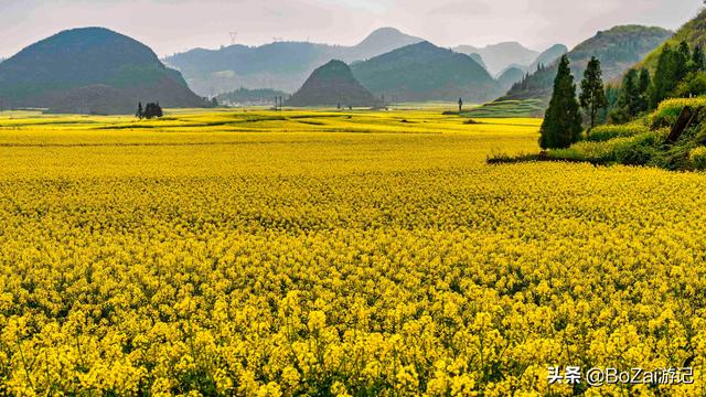 云南洱海必去景点推荐，莫道高原少美景
