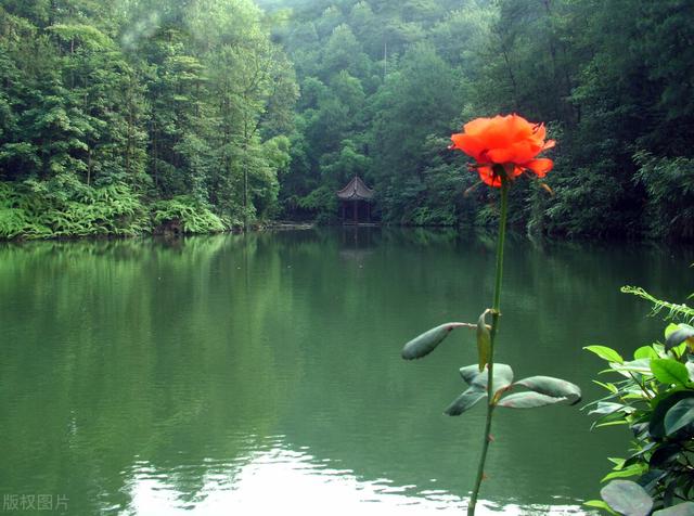 缙云山半日游，五一全家一起爬缙云山