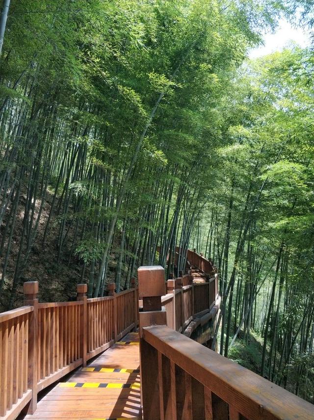 宜兴旅游攻略自助游推荐，满意的宜兴深度游