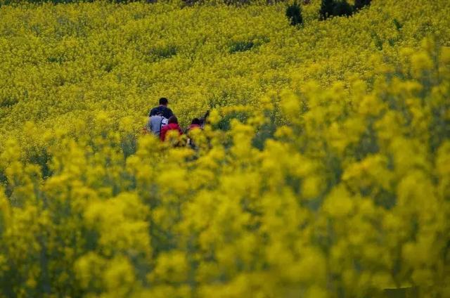 徽州古村落的风景，厚度旅行文山村