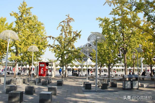 奥林匹克大道公园，奥林匹克公园美景图（小岛土著都不一定了解哦）