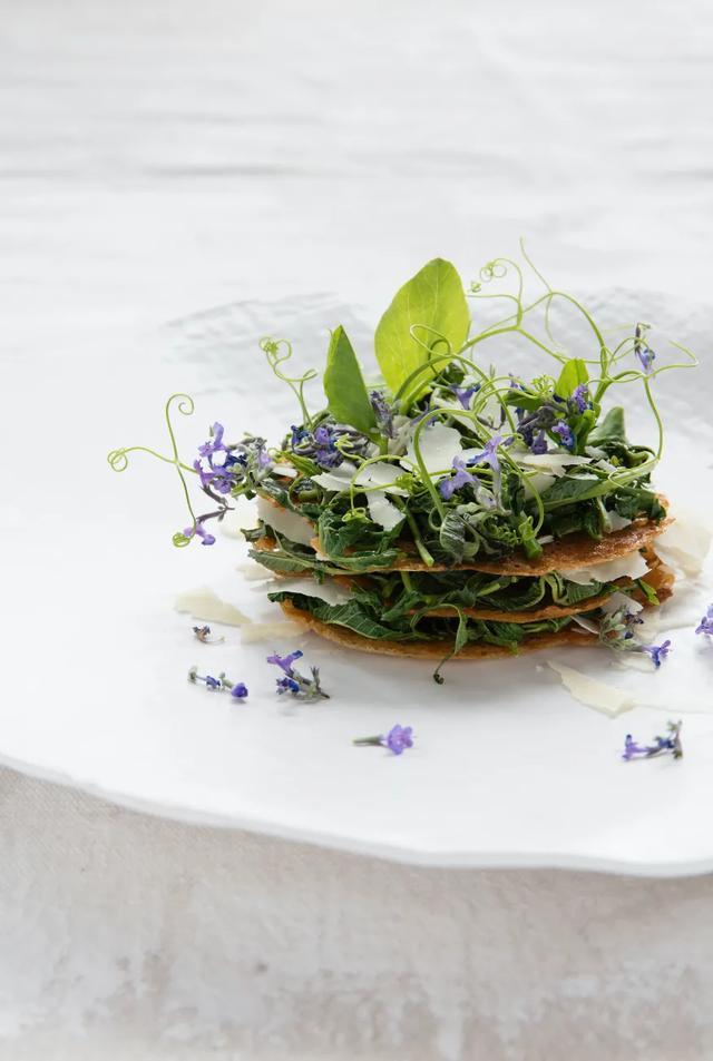 椿花，椿花开放的时节