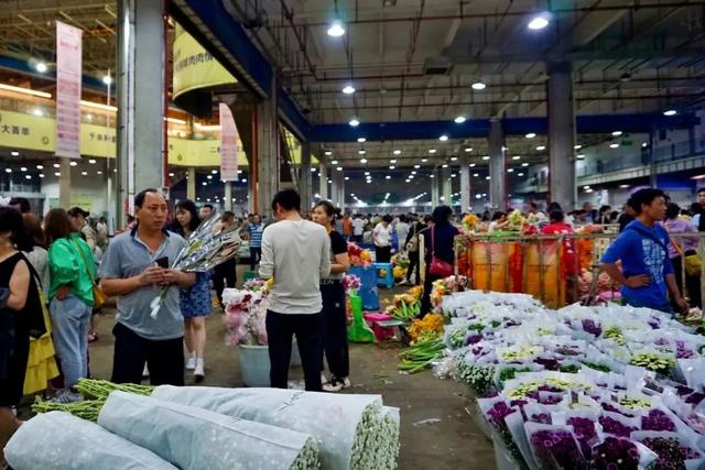 便宜又实惠的鲜花市场，打卡全国最大的鲜花批发市场