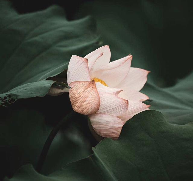 活得通透的人都有什么特征，在通透之人身上