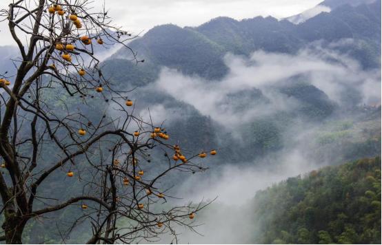 义乌旅游必去十大景点，免费的顶级旅游景点推荐