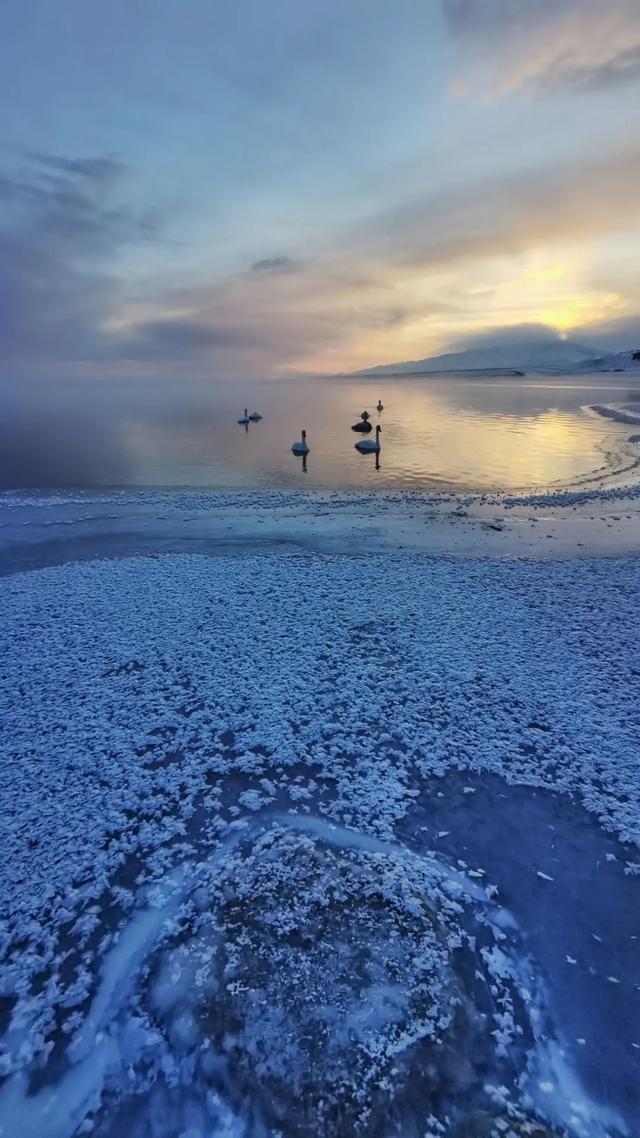 手机摄像头与镜头有什么区别，手机的摄像头越来越多