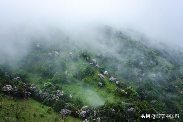 五一旅游最佳去处，五一去的旅游景点推荐（这些景点让你享受轻松愉快的假期时光）