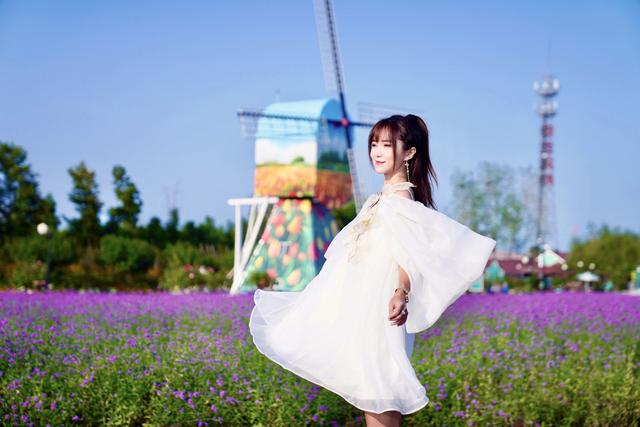 盐城荷兰花海旅游攻略，江苏大丰自驾游—梅花湾、荷兰花海、施耐庵公园