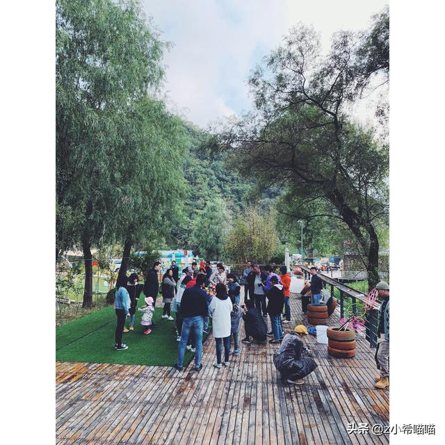 塞伦盖蒂大草原，塞伦盖蒂大草原和克鲁格公园